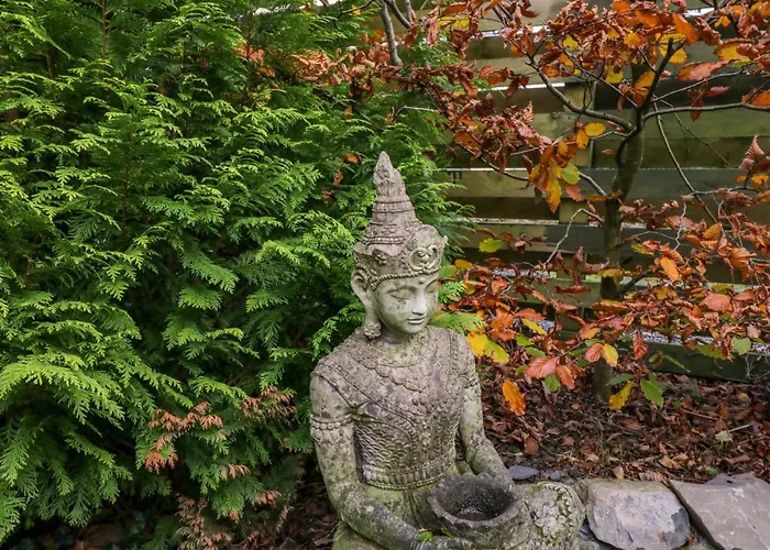 Elderflower Сasa de vacaciones *