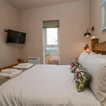 Elderflower Grange-over-Sands