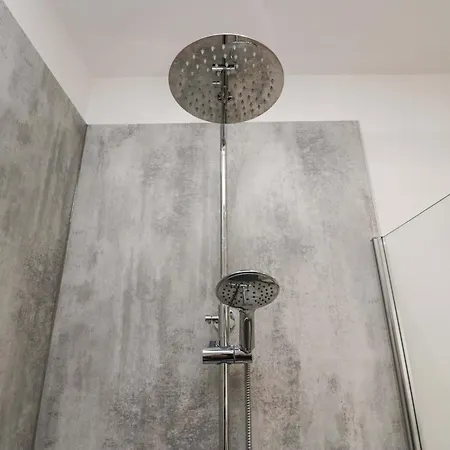 Elderflower Grange-over-Sands