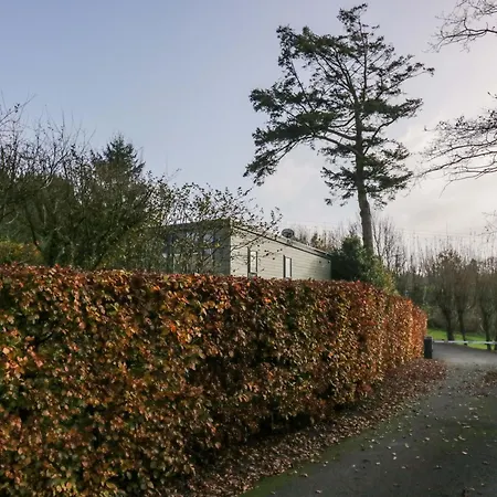 Hébergement de vacances Elderflower